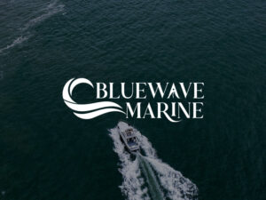 Minimalist logo design for a startup by Lightning Sapiens